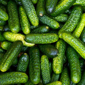 Сколько огурцов можно есть в день: запомните это правило на всю жизнь
